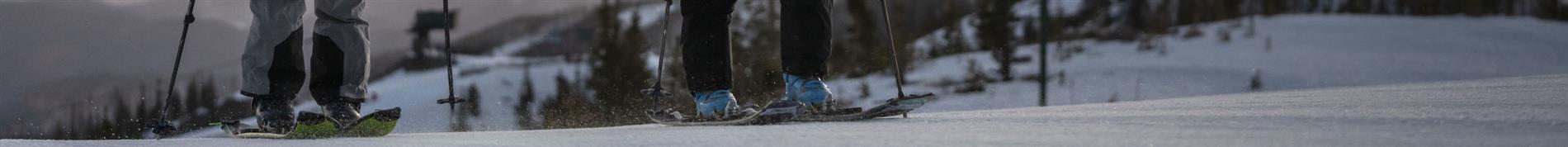 Alpina Men's Cross Country Skiing Equipment 