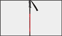 Men's Ski Poles