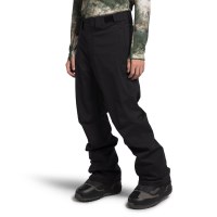 Men's Freedom Stretch Pant - TNF Black (NPF)